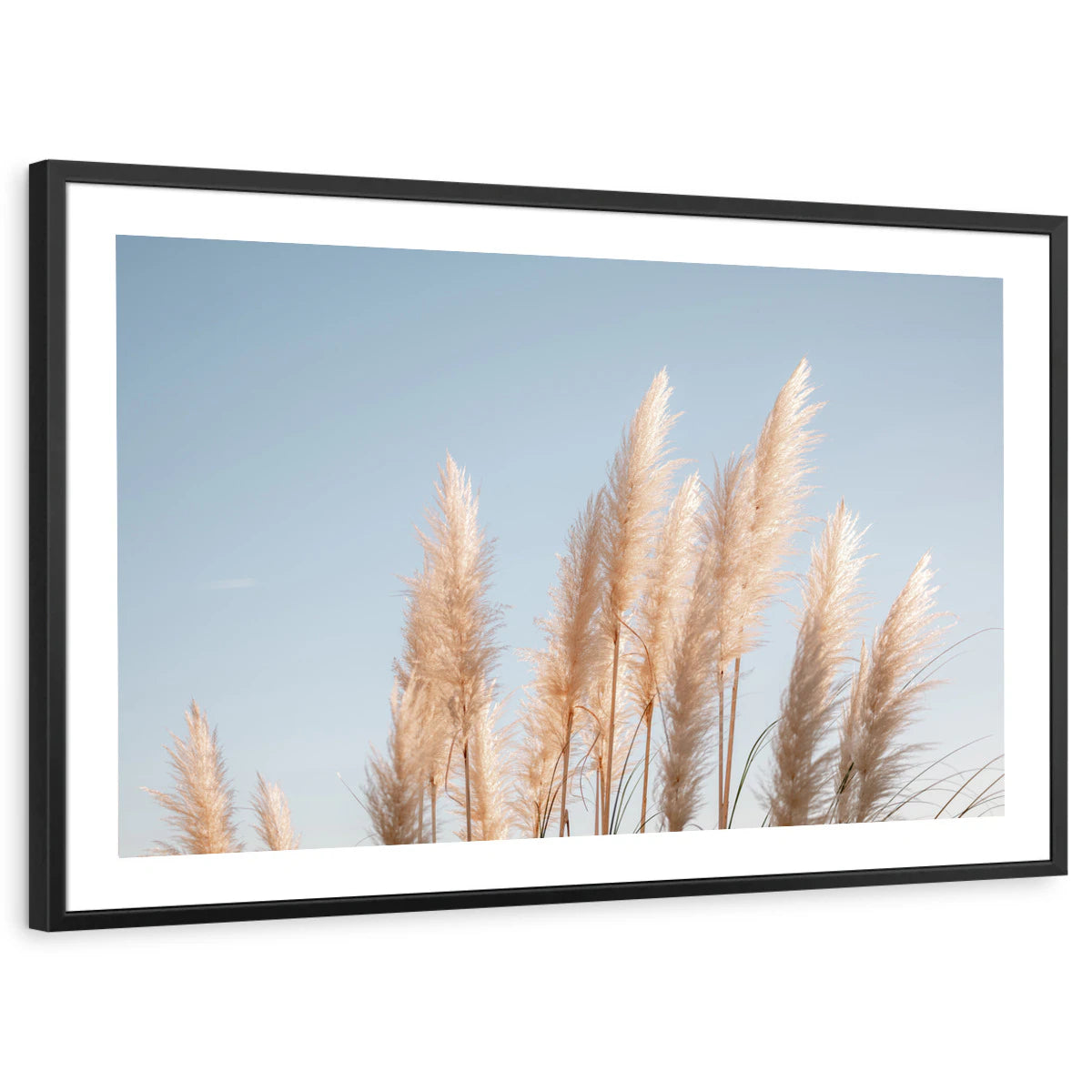 framed-print-black-white-border
