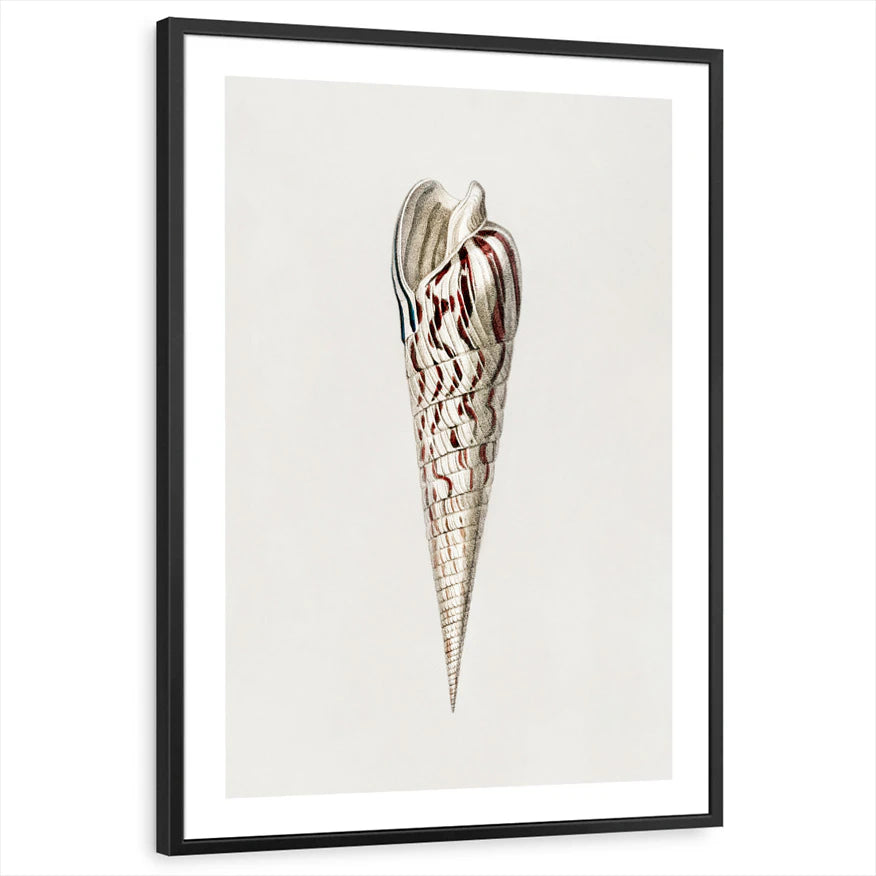 framed-print-black-white-border