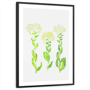 framed-print-black-white-border