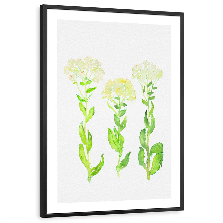 framed-print-black-white-border