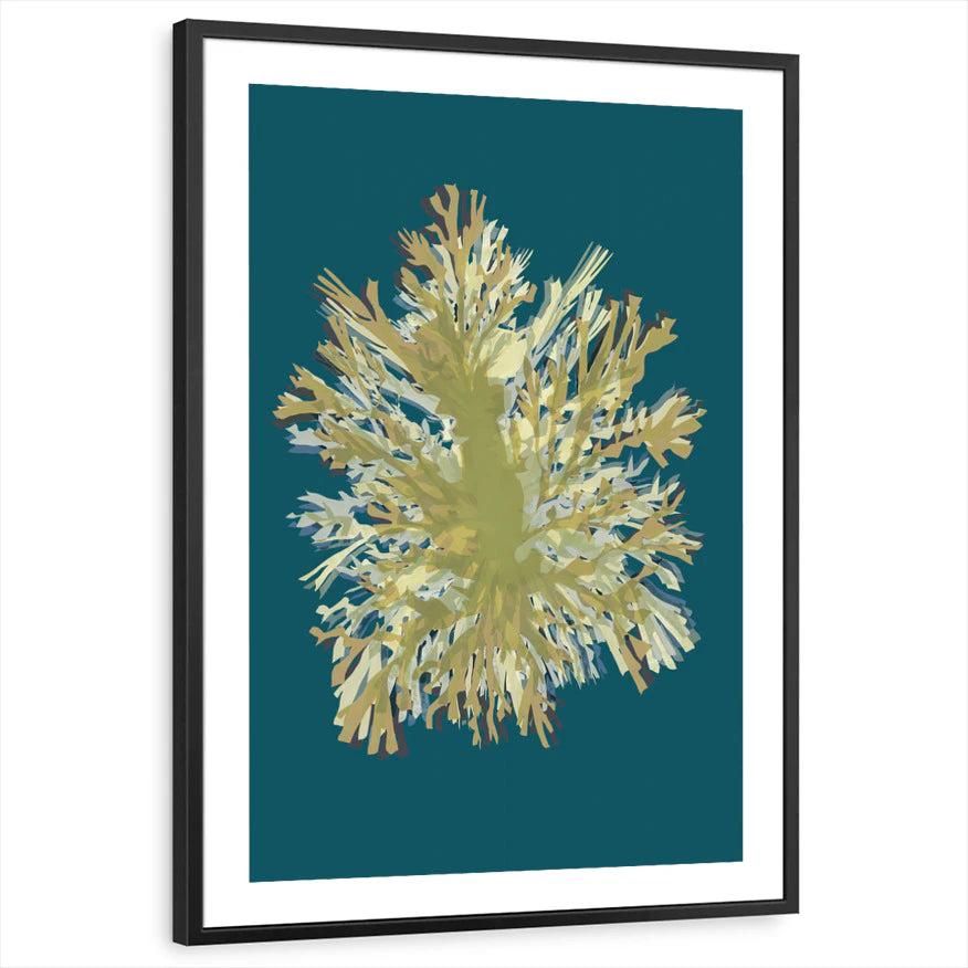 framed-print-black-white-border