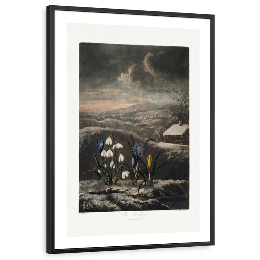 framed-print-black-white-border