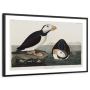 framed-print-black-white-border