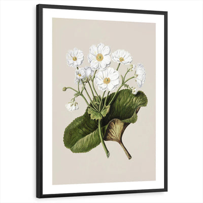 framed-print-black-white-border