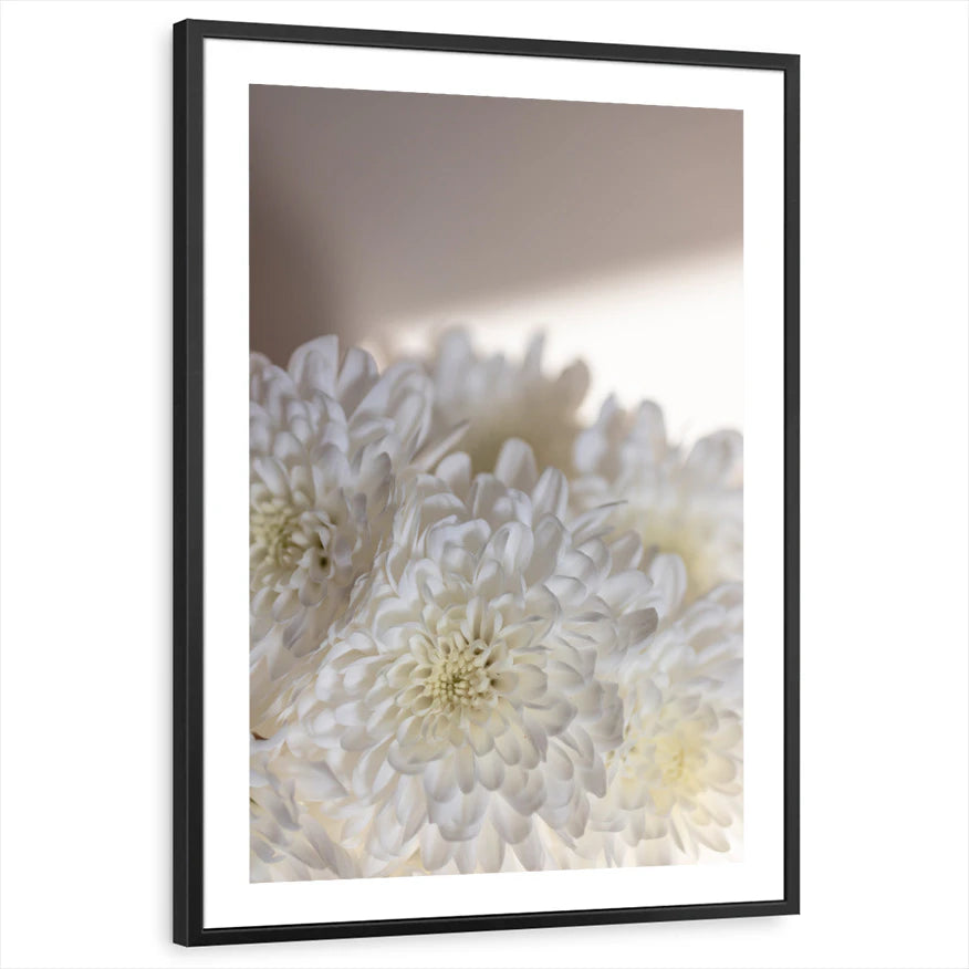 framed-print-black-white-border