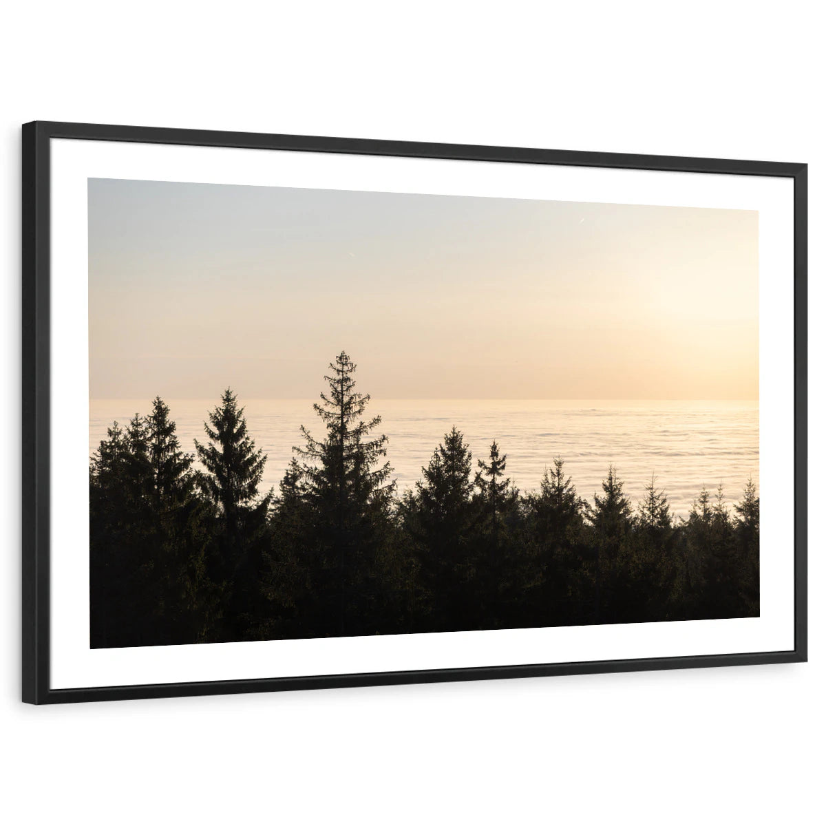 framed-print-black-white-border