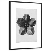 framed-print-black-white-border