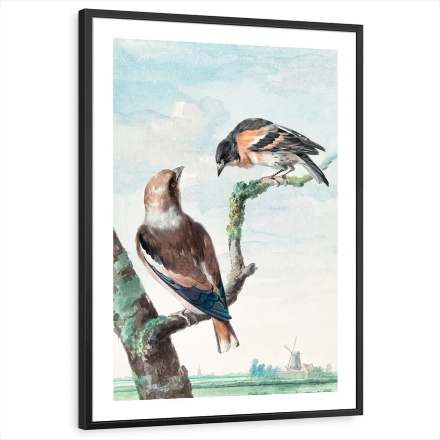 framed-print-black-white-border