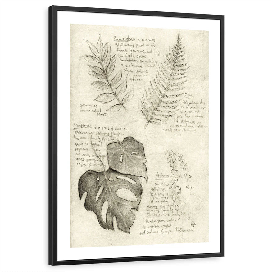 framed-print-black-white-border
