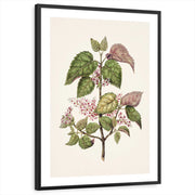 framed-print-black-white-border