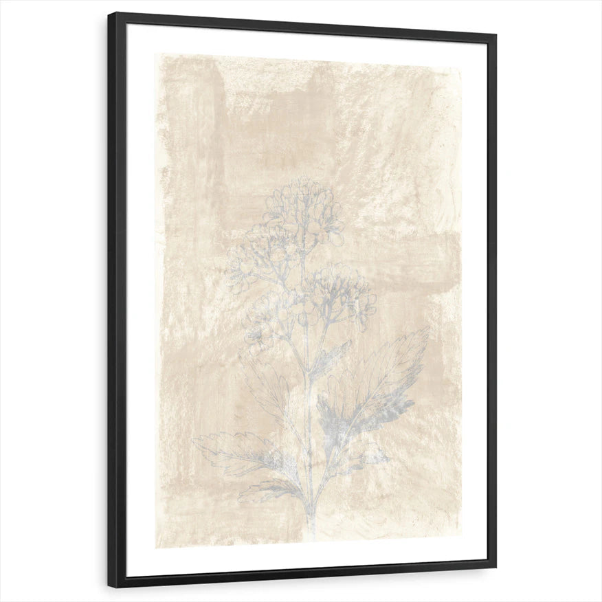 framed-print-black-white-border