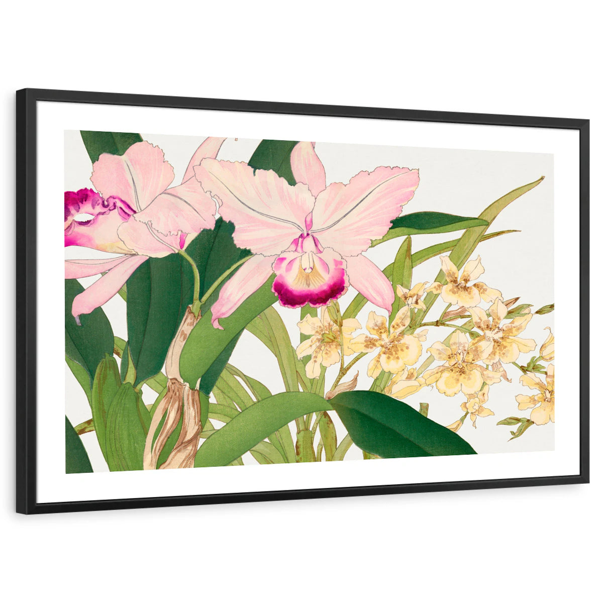 framed-print-black-white-border