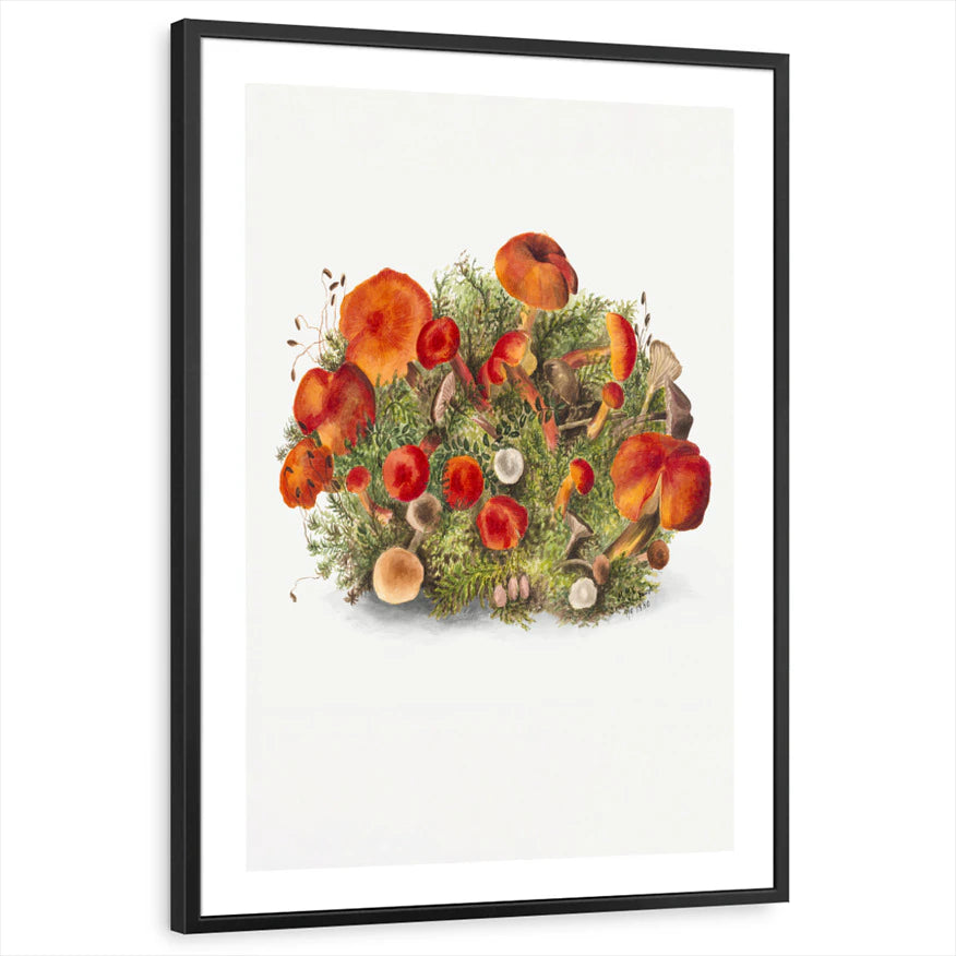 framed-print-black-white-border