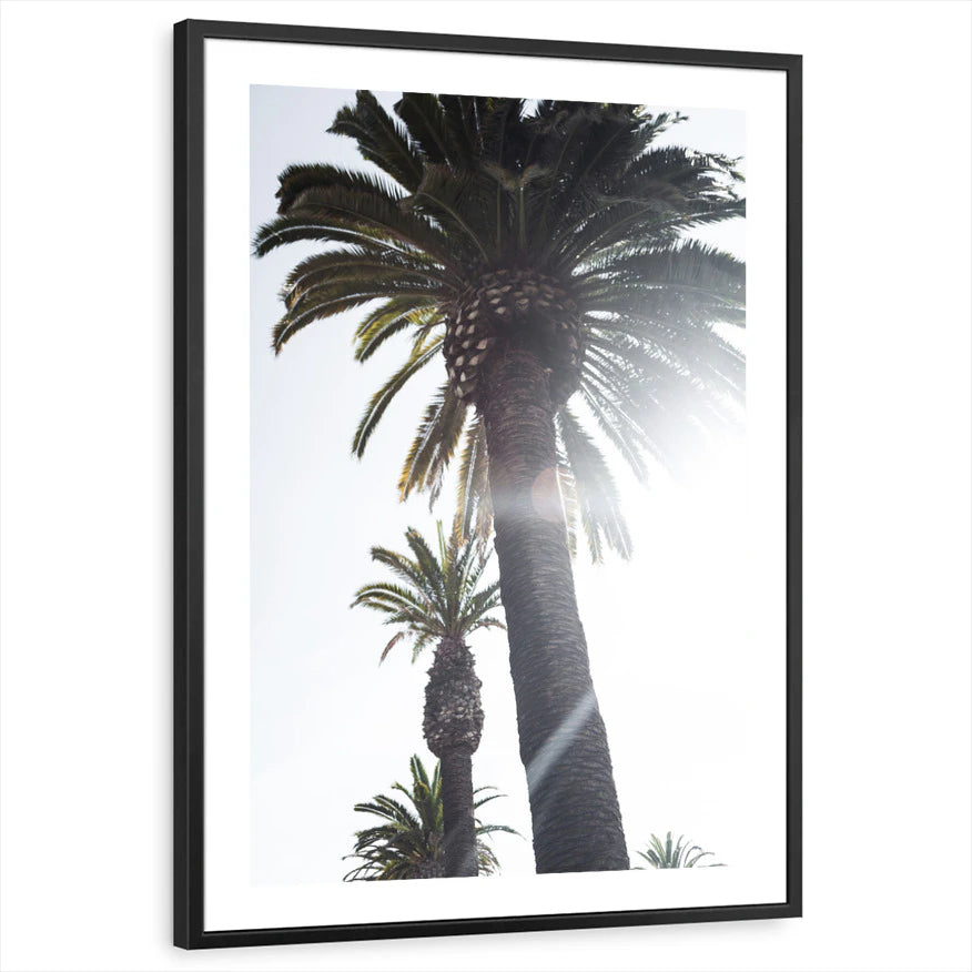 framed-print-black-white-border