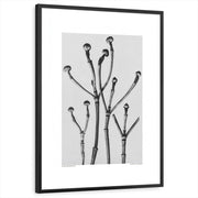 framed-print-black-white-border