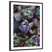 framed-print-black-white-border