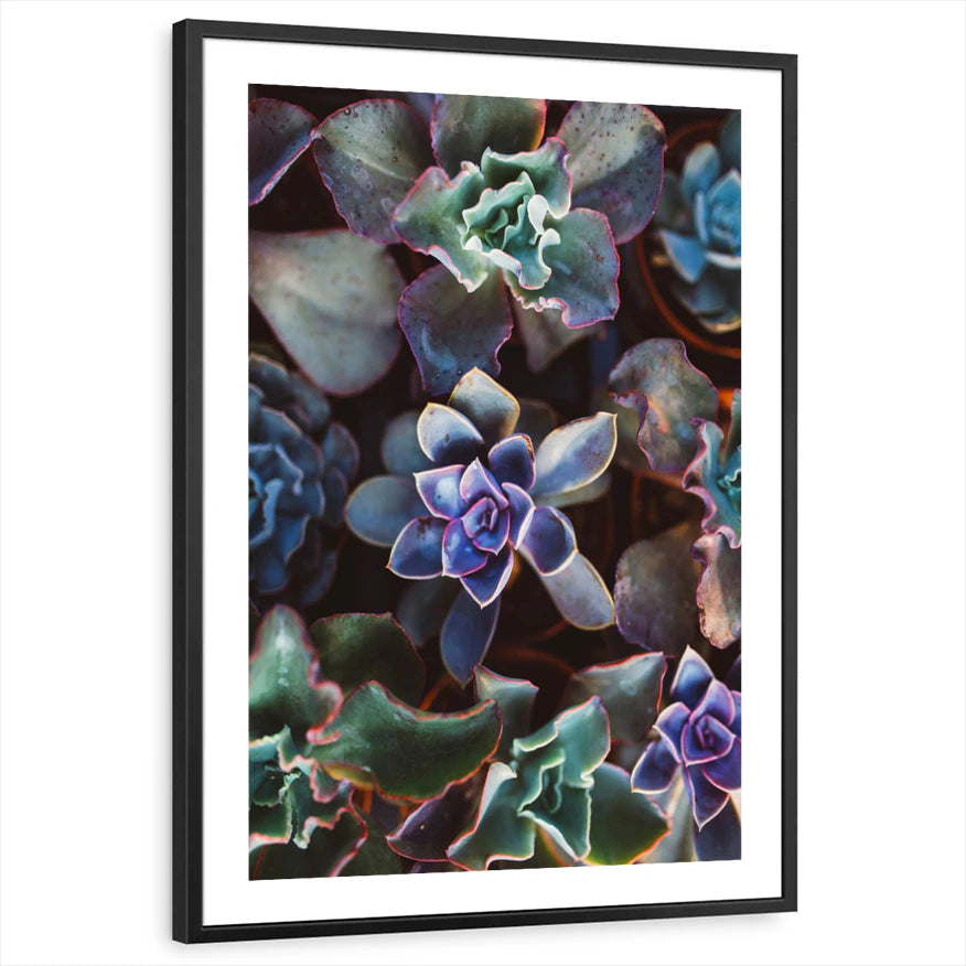 framed-print-black-white-border