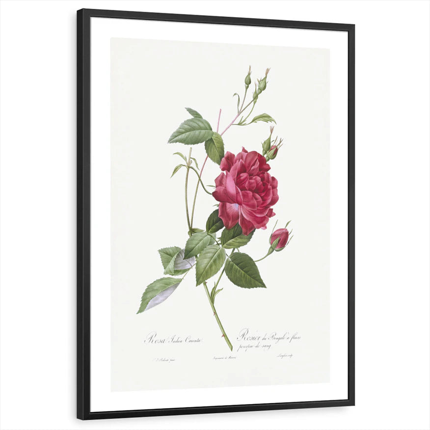 framed-print-black-white-border