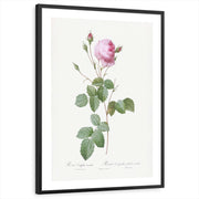 framed-print-black-white-border