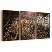3-framed-canvas-brown-walnut