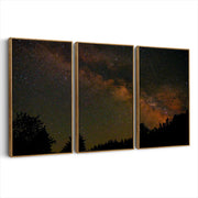 3-framed-print-brown-walnut