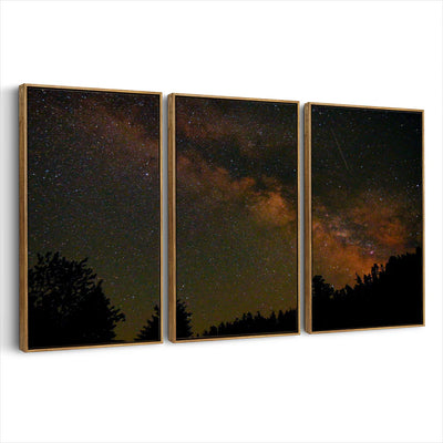 3-framed-print-brown-walnut