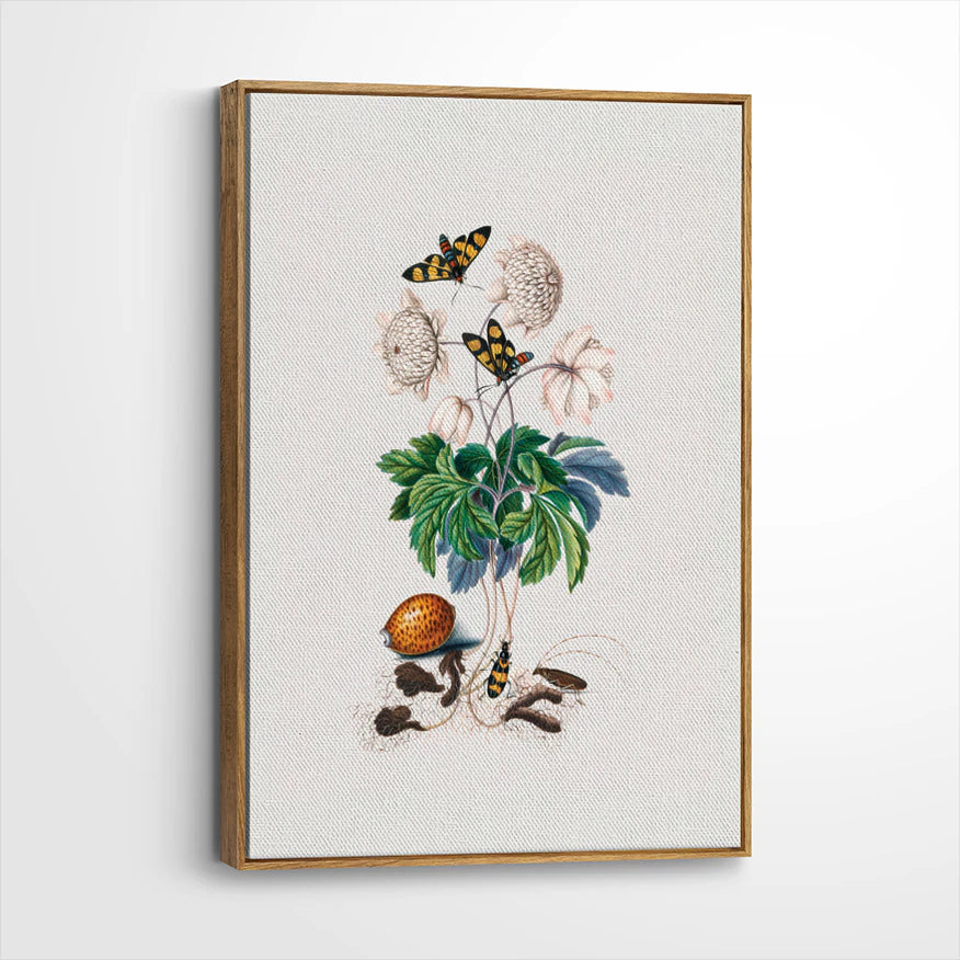 framed-canvas-brown-walnut
