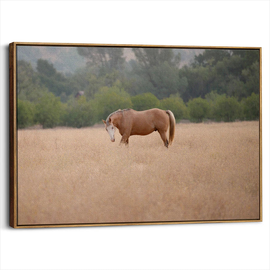 framed-canvas-brown-walnut