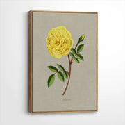 framed-canvas-brown-walnut