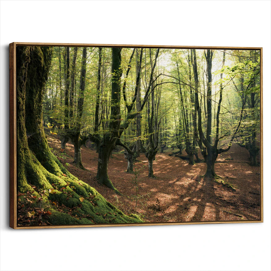 framed-canvas-brown-walnut