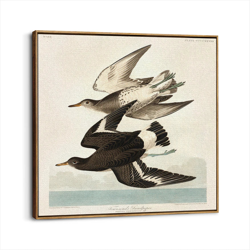 framed-canvas-brown-walnut