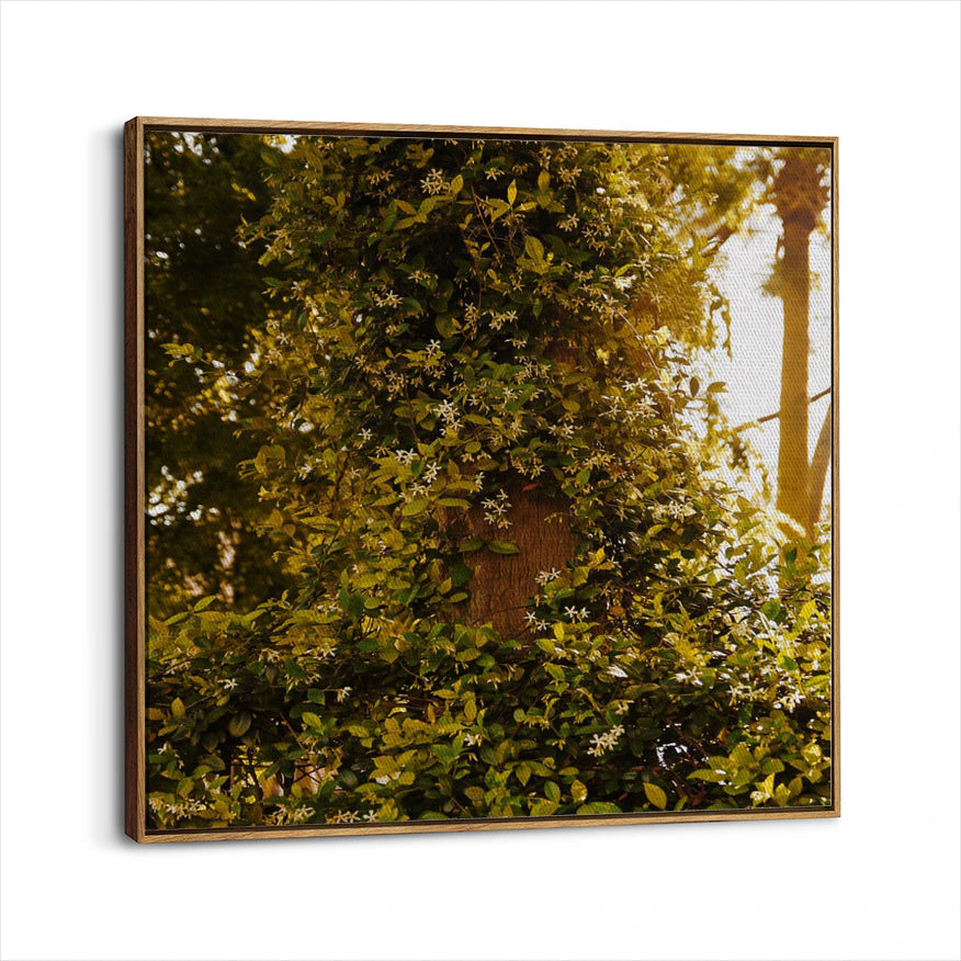 framed-canvas-brown-walnut