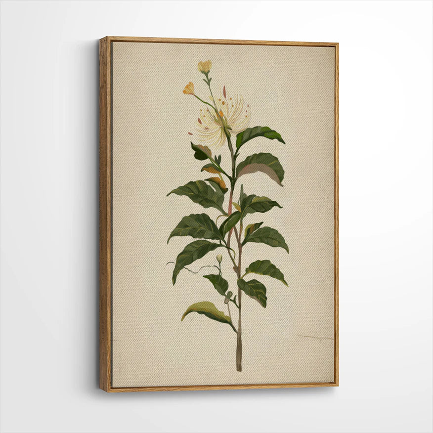 framed-canvas-brown-walnut