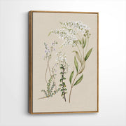 framed-canvas-brown-walnut