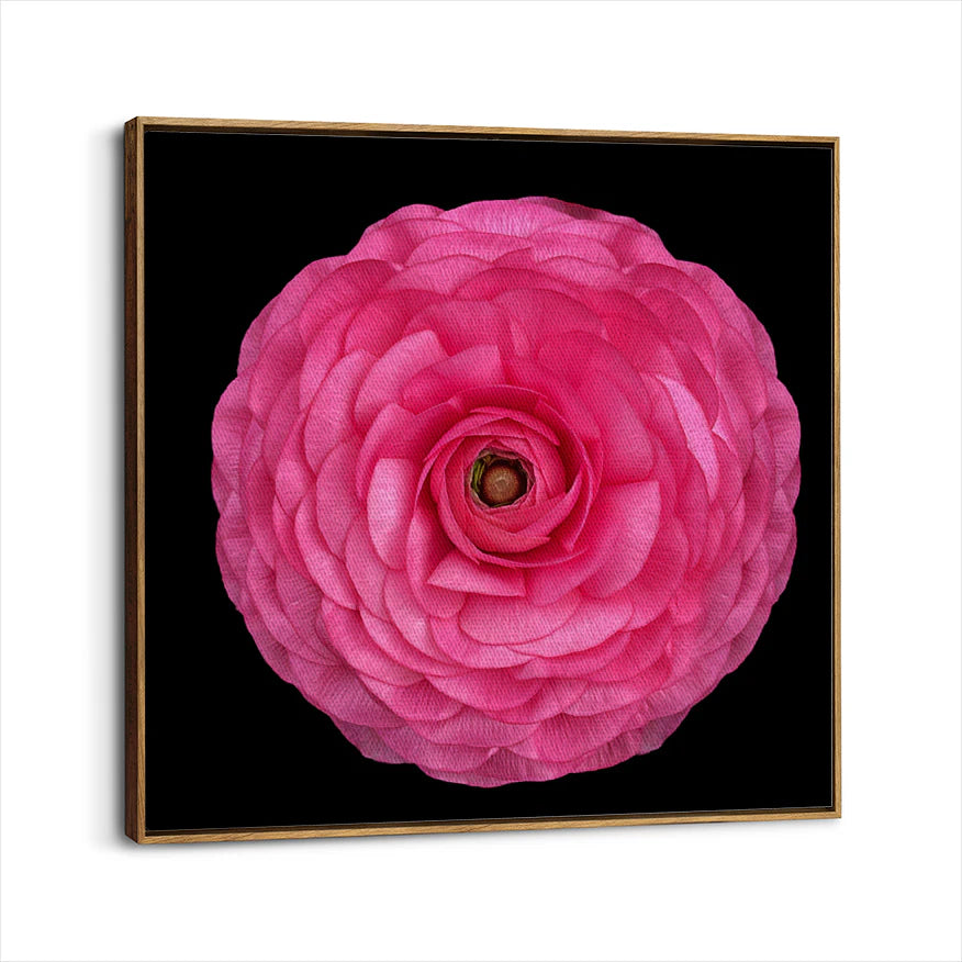 framed-canvas-brown-walnut