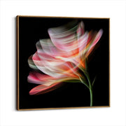 framed-canvas-brown-walnut