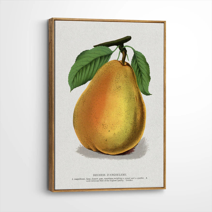 framed-canvas-brown-walnut