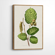 framed-canvas-brown-walnut