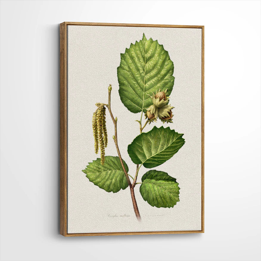 framed-canvas-brown-walnut