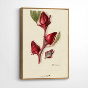 framed-canvas-brown-walnut