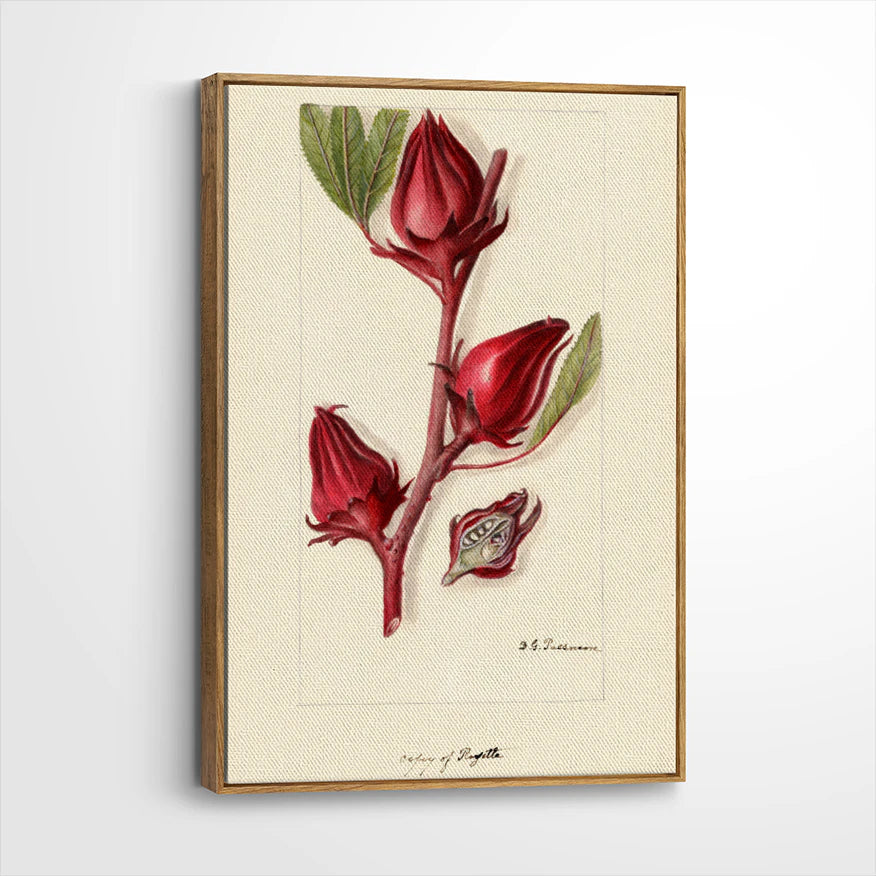 framed-canvas-brown-walnut