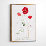 framed-canvas-brown-walnut
