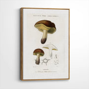 framed-canvas-brown-walnut