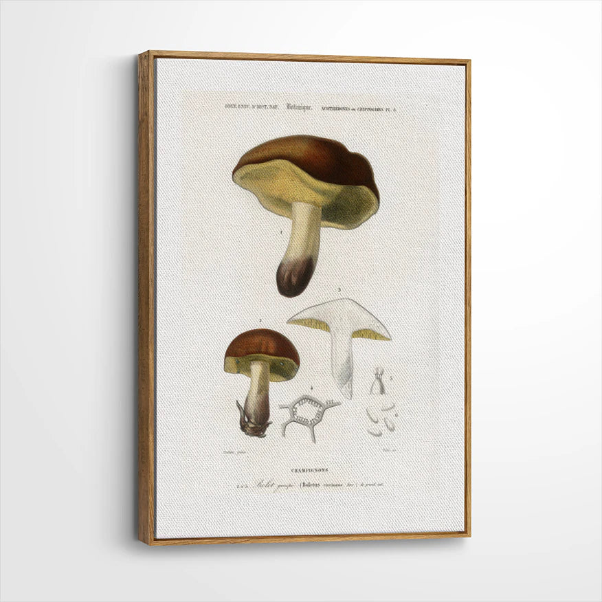 framed-canvas-brown-walnut