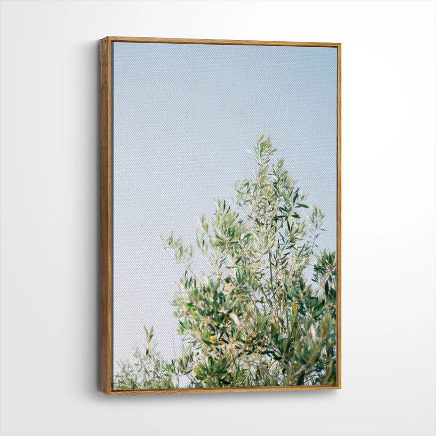 framed-canvas-brown-walnut