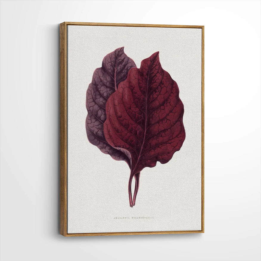 framed-canvas-brown-walnut