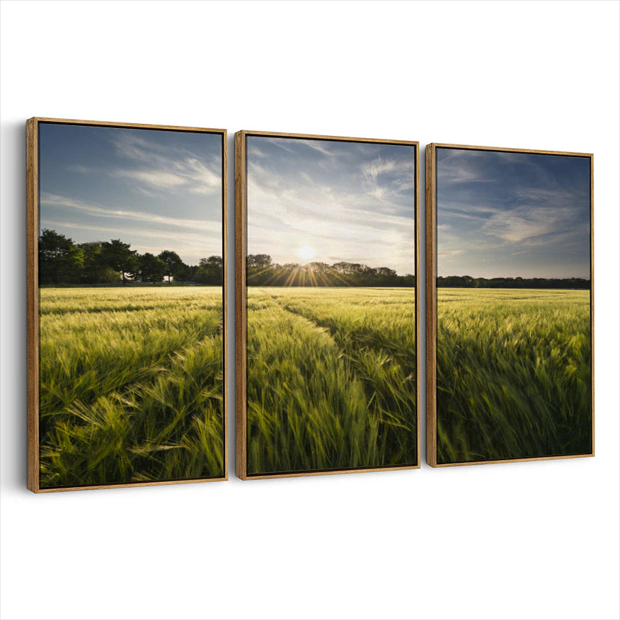 3-framed-canvas-brown-walnut