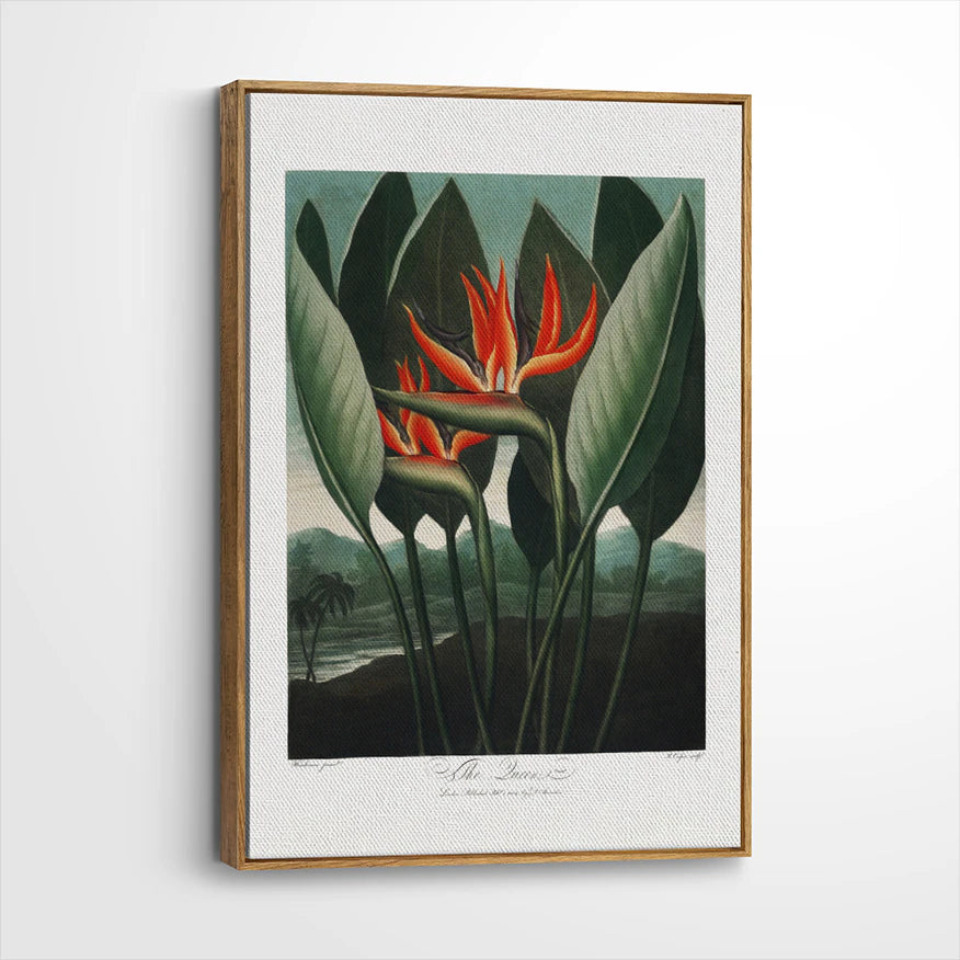 framed-canvas-brown-walnut