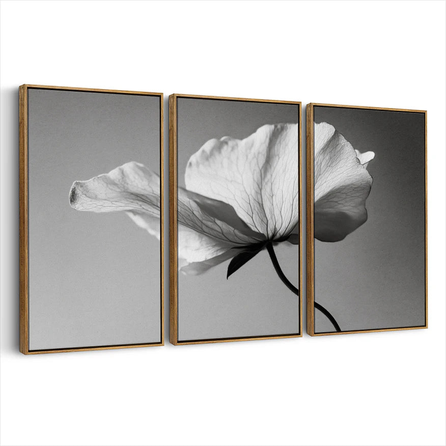 3-framed-canvas-brown-walnut