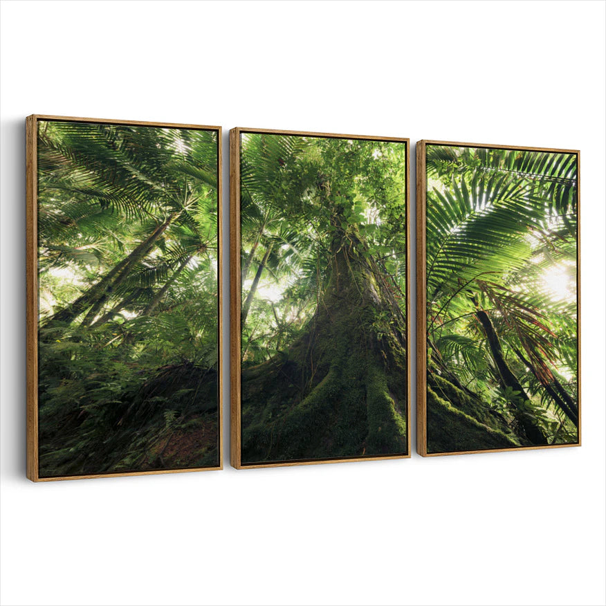 3-framed-canvas-brown-walnut